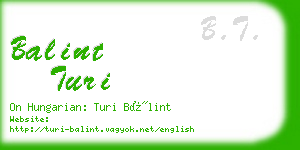 balint turi business card